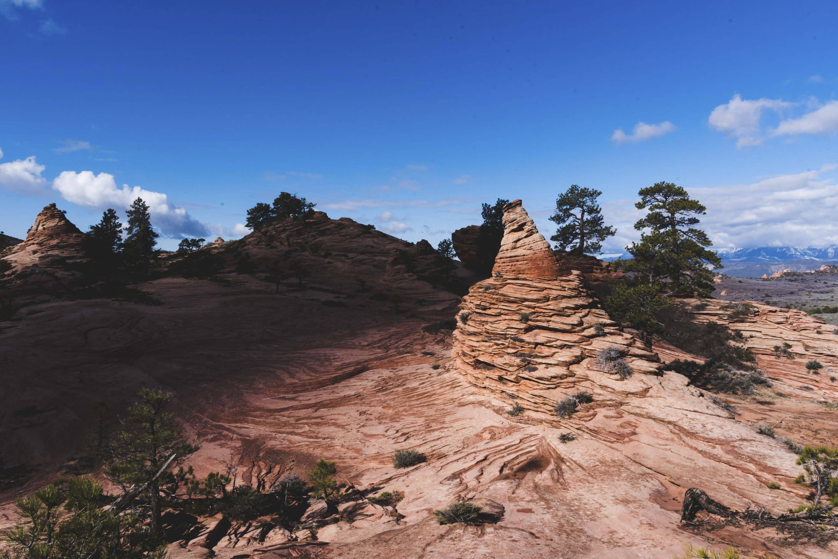 Elopment Wedding At Lazalu Retreat In Zion National Park020